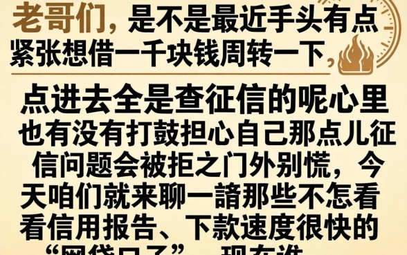1000元秒下款的口子吗，条列五个无视黑白户口子