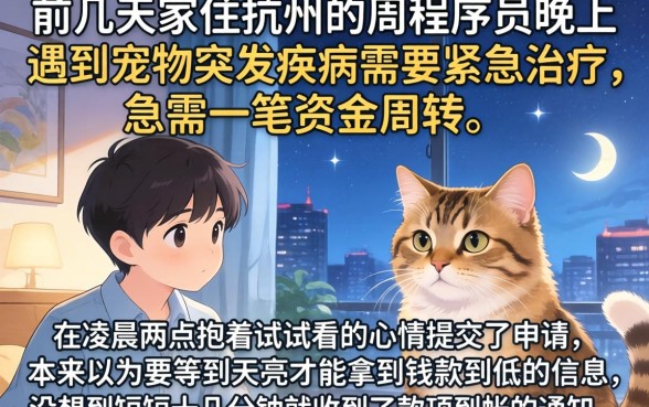 夜间容易下款的口子，梳理5个闪电审批的平台