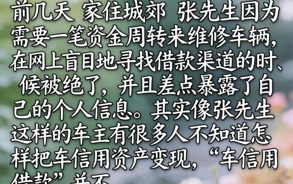 车信用借款的口子，归集5个黑白贷款不是高炮的app
