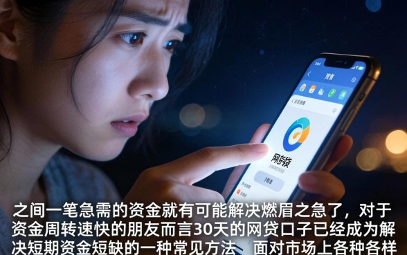 30天的网贷口子，详细阐述5个轻松贷10万的app