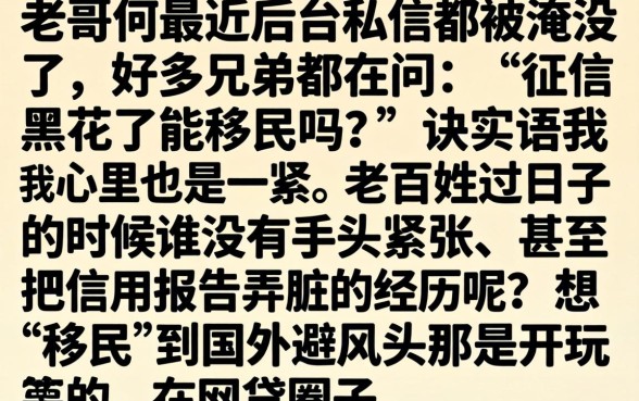 征信黑花了能移民吗，筛选五个真正无视征信黑白100%秒下网贷