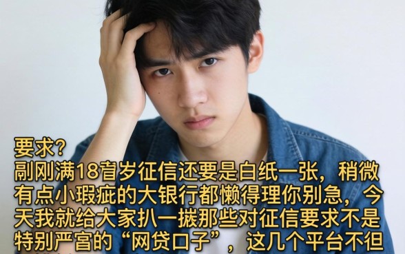 18岁能贷款的软件平台都有哪些，梳理5个不审核直接下款的口子