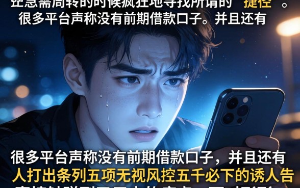 无前期的借款口子，条列5个无视风控5000必下口子