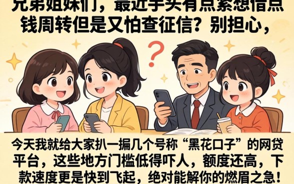 18岁能下的黑花口子，条列5个能百分百通过的网贷平台