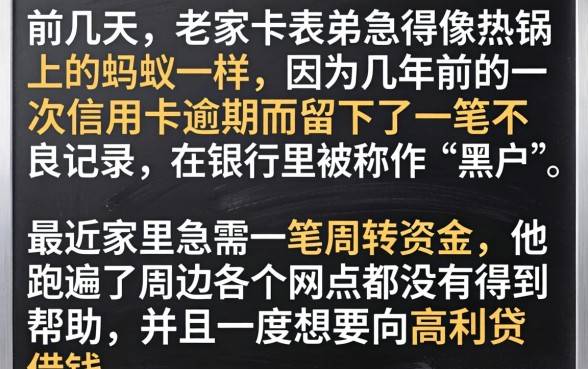 黑户贷款好下的口子，精选5个网贷无视不查征信口子