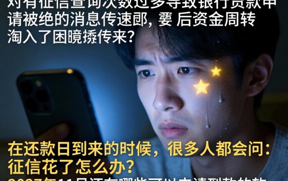 征信花了要怎么处理，汇总五个11月能贷款的软件