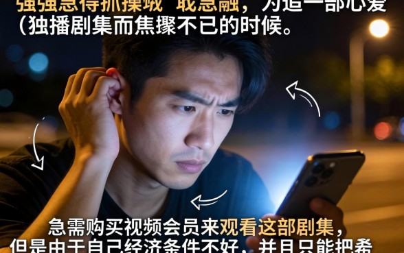 购买会员必下的口子，枚举5个综合评分不足有负债都能下款平台