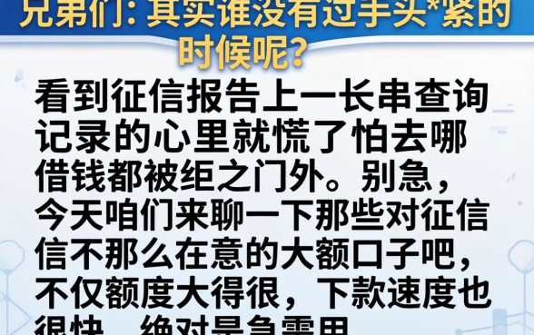 大额贷款容易通过，枚举五个百分百下款无视黑白户网贷app