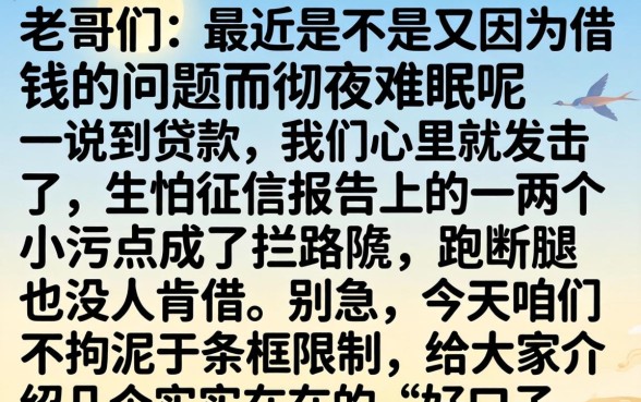 推借款口子的推手，归纳五个无视黑白户的贷款app