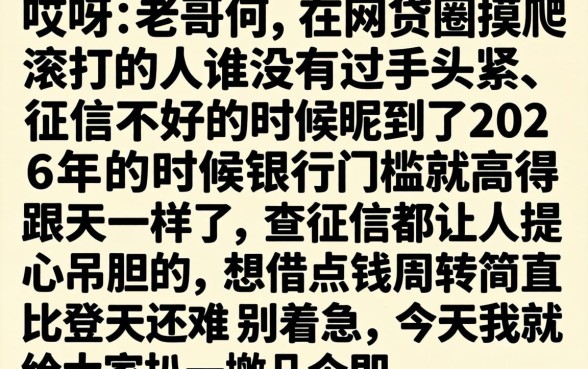 2026什么口子能下款，胪列5个征信不好负债高的平台