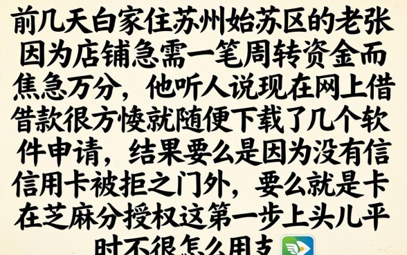 苏州的贷款申请，揭秘五个不用芝麻分能借的平台