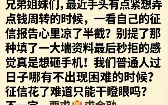 可以借两年的网贷，揭秘五个黑户成功获取大额贷款的app