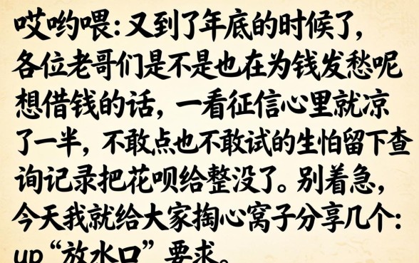 年底黑户放水口子，详尽说明5个不看征信查询的口子