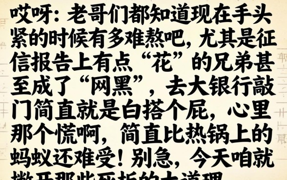 2026年12月网黑能下款的口子，陈列5个手机和身份证快速借钱app