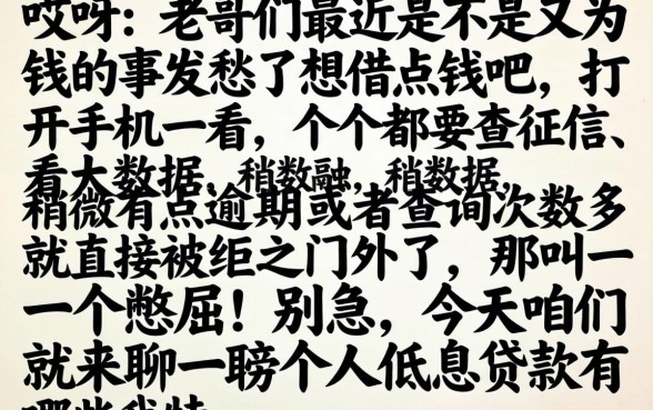个人低息贷款有哪些，整合5个不看征信无视黑白百分百下款app