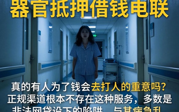 器官抵押借钱电联，诚意推荐5个高能分期贷款app新秀