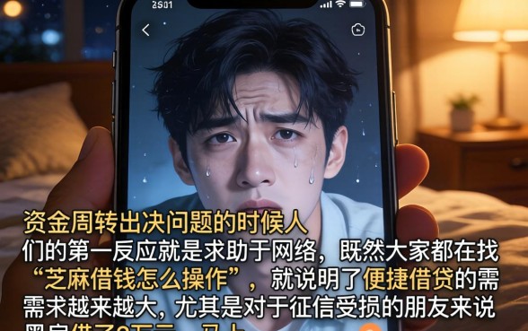 芝麻借钱怎么操作，遴选5个黑户借2万元秒下网贷口子app