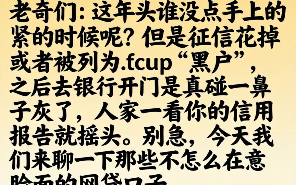黑户贷款包下款平台，概览5个不看综合评分的网贷百分百下款口子