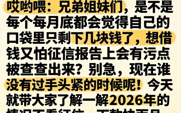 2026分期借款好下款的口子，详细阐述五个1000至5000的小额贷款app