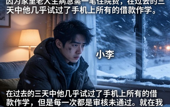 2026下了款的口子，详细阐述5个贷款通过高的口子