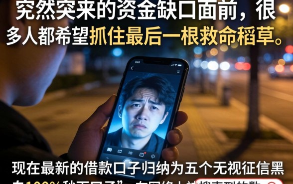 现在最新借款口子，归纳5个无视征信黑白100%秒下口子