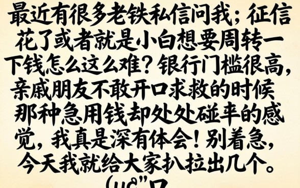 使用假资料办理贷款，归集5个轻松借款无征信记录的app