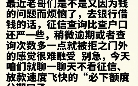 必下额度分期口子，深入剖析五个不看征信查询的app