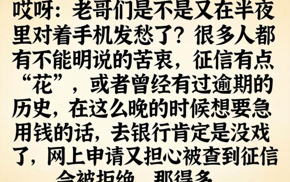 2026年有哪些网贷平台能在晚上迅速放款，详尽说明五个芝麻信用可以借钱的平台