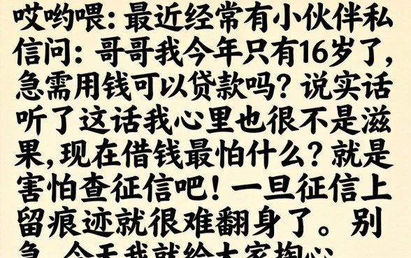 16岁可不可以贷款，概览5个信用卡贷款口子好软件