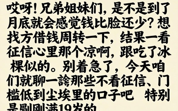 19岁能下款的口子2026，条列五个无视黑户百分百下款口子