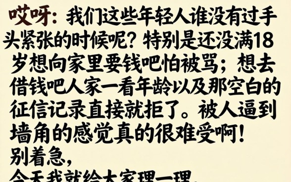 16岁学生借钱软件，理出5个无视风控不看征信的网贷