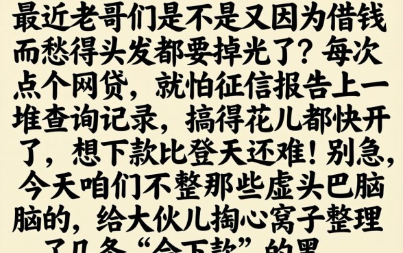 会下款的黑户口子，规整五个不查流水的小额度贷款平台