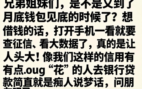 2026年好下款的网贷口子合集，整理五个手机小额黑户快速贷款软件