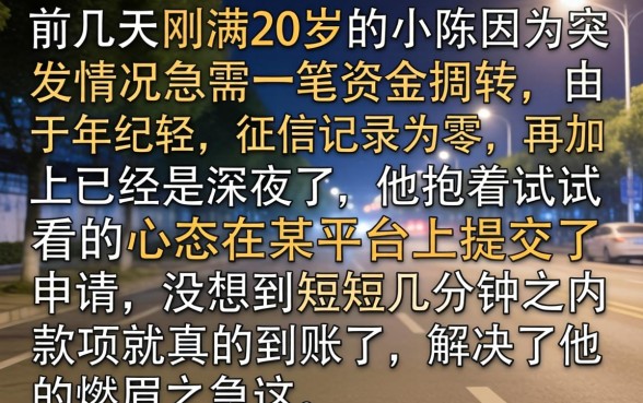 夜间也能秒下的口子，概览5个20岁借钱不求征信速借口子