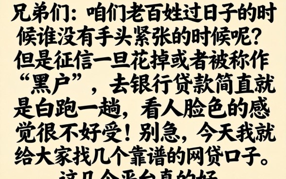 百分百过的大额贷款，归集5个无视黑户下款口子