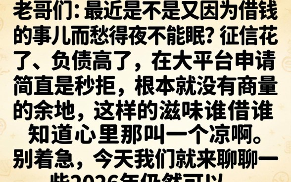 2026七天黑花口子，详细阐述5个不看负债查询的软件