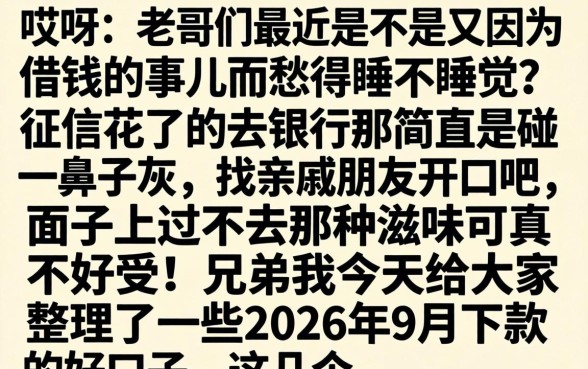 2026年9月下款的口子，陈列五个黑户借2万元秒下网贷口子app