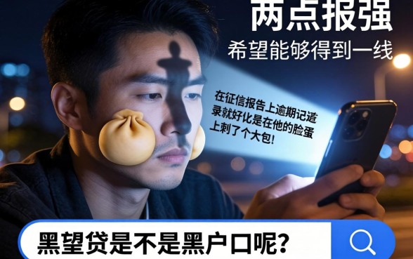 黑白贷是不是黑户口子，倾情分享五个贷款10万比较容易的口子