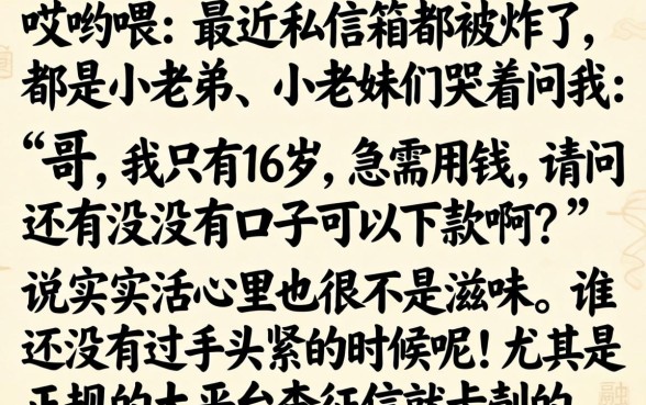 16岁能借钱的平台有哪些，罗列五个不审核直接下款的口子