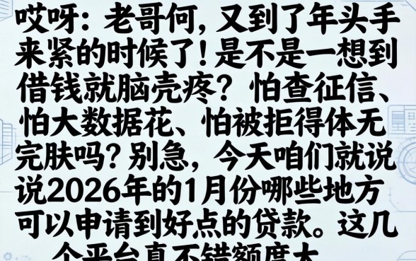 2026年1月好下款的口子，罗列5个真正无视风控黑白的网贷