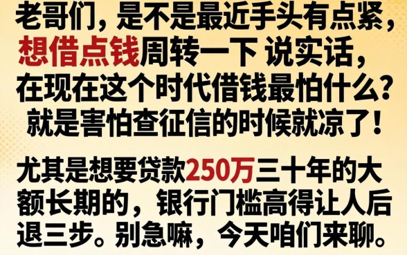 贷款250万三十年，概括5个无视征信好下款的借款app