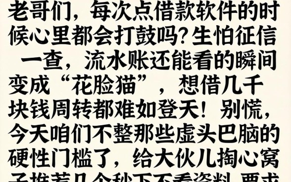 秒下不看资料的口子，精选5个征信花了可以借钱的网贷软件