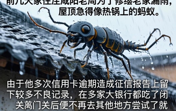 2026容易下款的新口子，概览5个网贷黑户必过软件