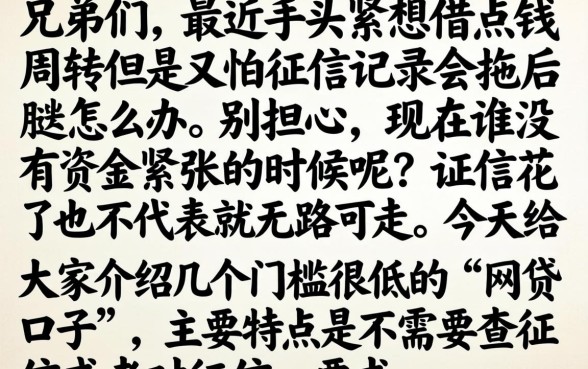 满十八能下款的口子，规整五个黑征信也能贷款的网贷软件