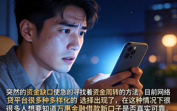 万惠金融借款新口子，倾情分享5个借款好下款的app