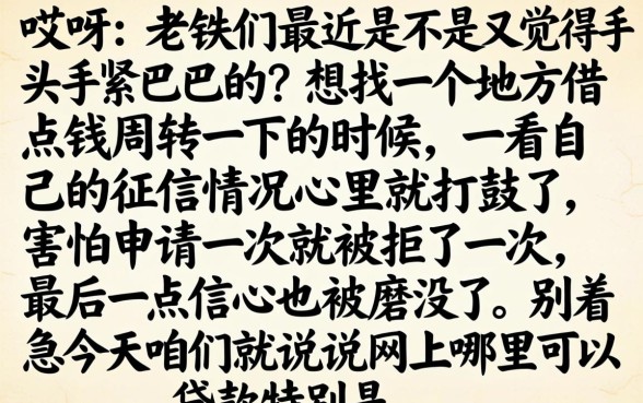 网上那里可以贷款，筛选5个借款无视黑白无视年龄100%秒过app