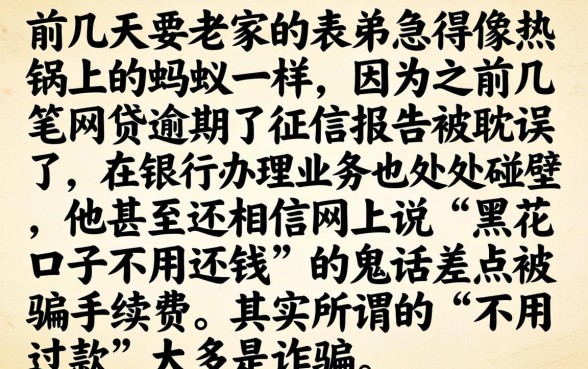 黑花口子不用还钱，归集5个不看负债和征信的口子