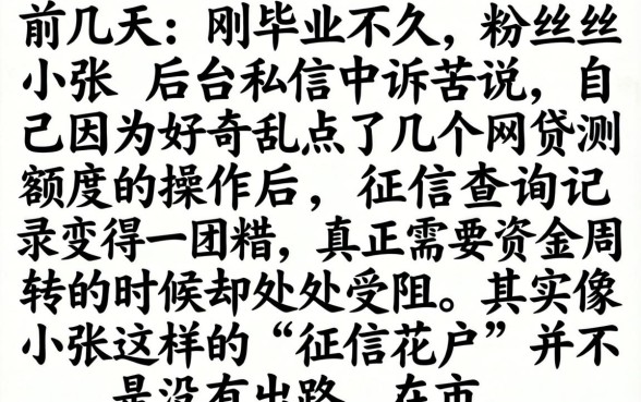 0岁的小白用户，详尽说明5个不看征信查询的口子
