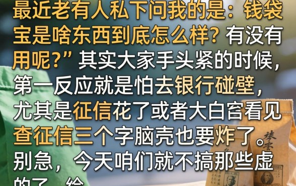 钱袋宝是什么东西，细致阐述五个百分百下款无视黑白户口子