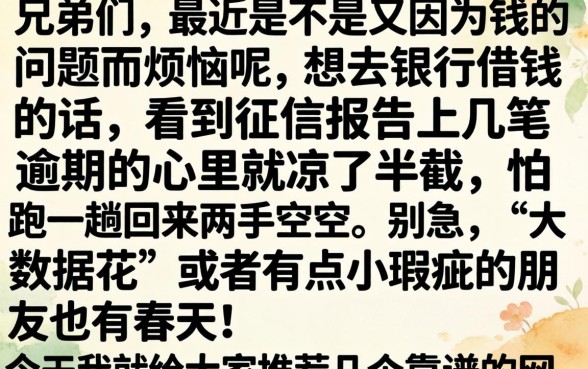 好的信用贷款有哪些，诚意推荐5个无视逾期大数据花户黑户口子